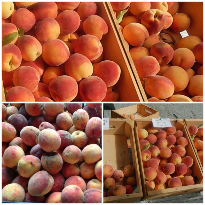 Glorious peaches are available at certain farmers markets